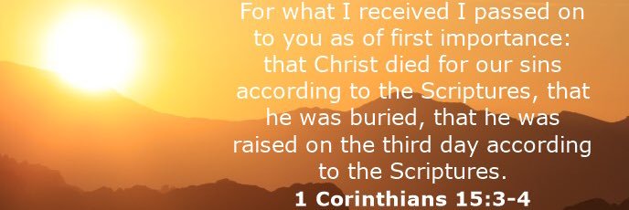 SteffyLu's profile banner image