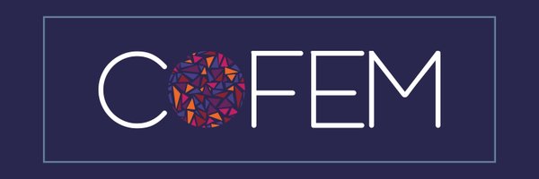 COFEM_EVAW Profile Banner