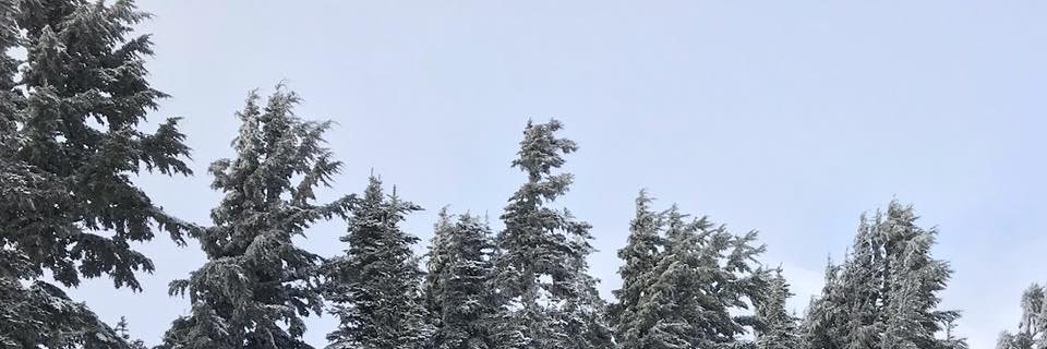 jcamicc's profile banner image