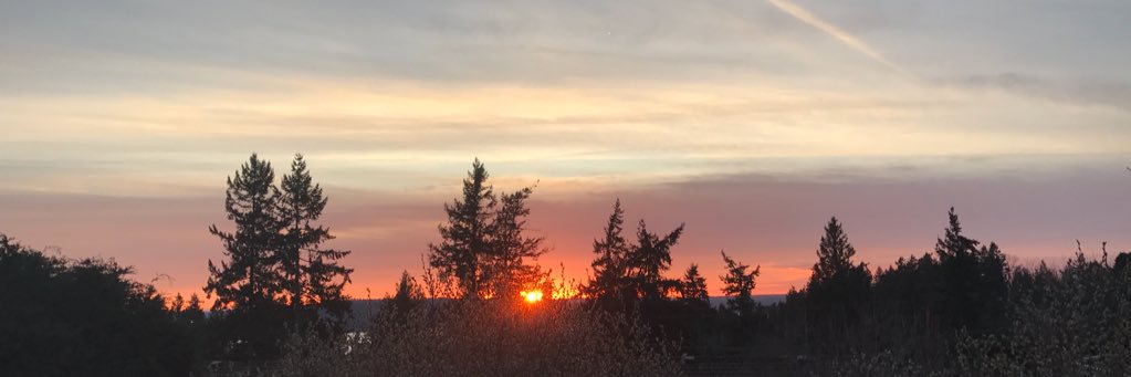 suz557's profile banner image