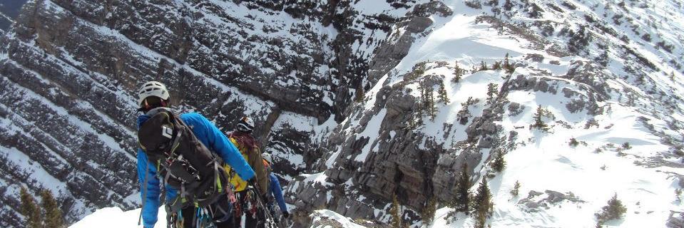 Steve Whittington banner