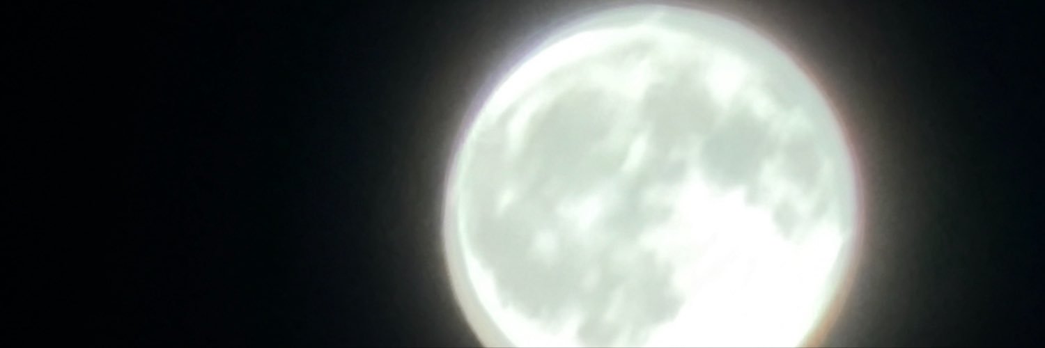ThattonePunch's profile banner image