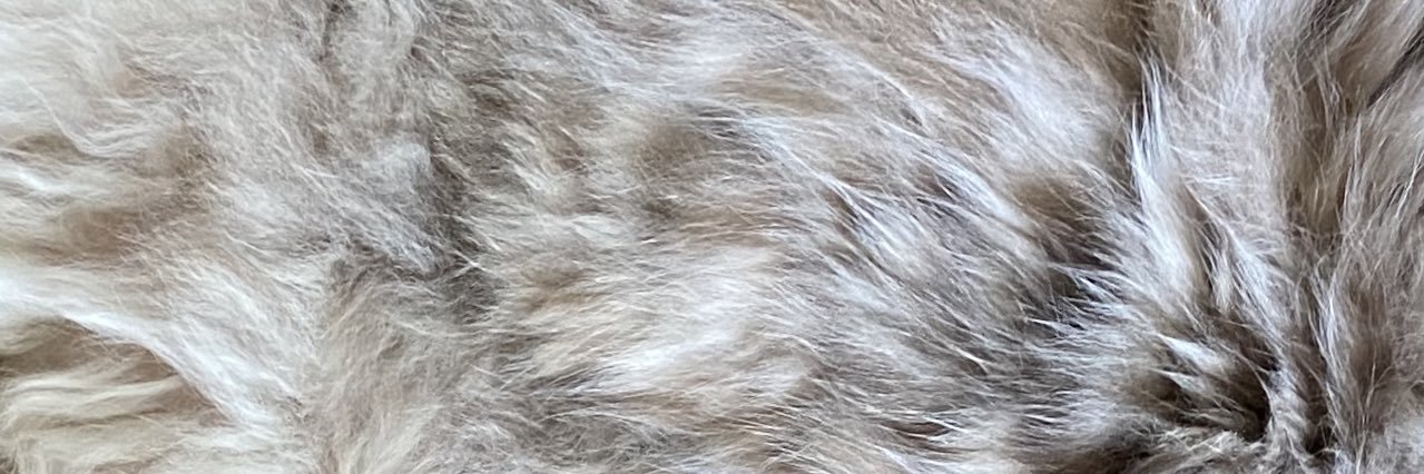 Just Jess 🌻 banner
