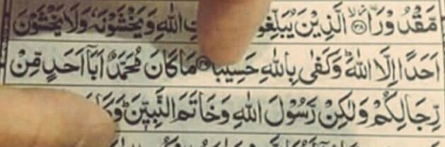 ╰☆☆ Mind Hacker ☆☆╰ banner