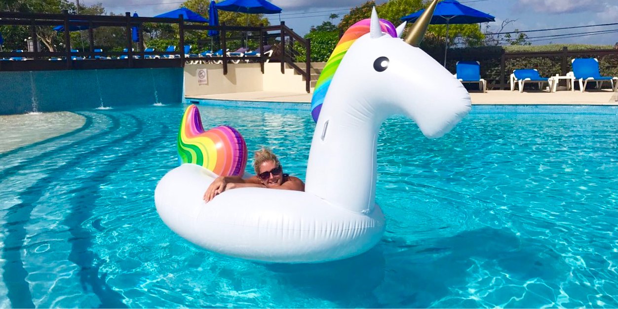 crustydolphin's profile banner image