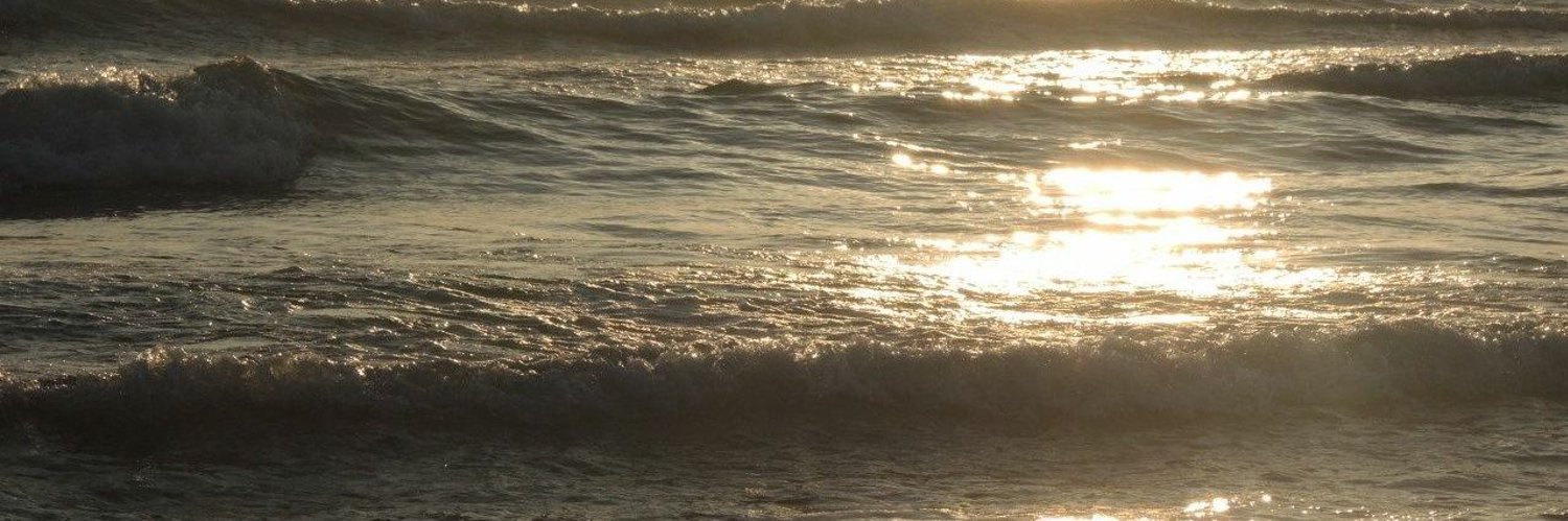 nayragebeil1's profile banner image