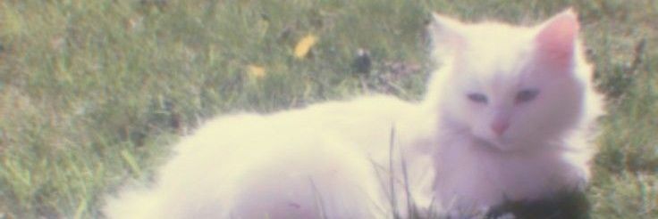 pinarbakin's profile banner image