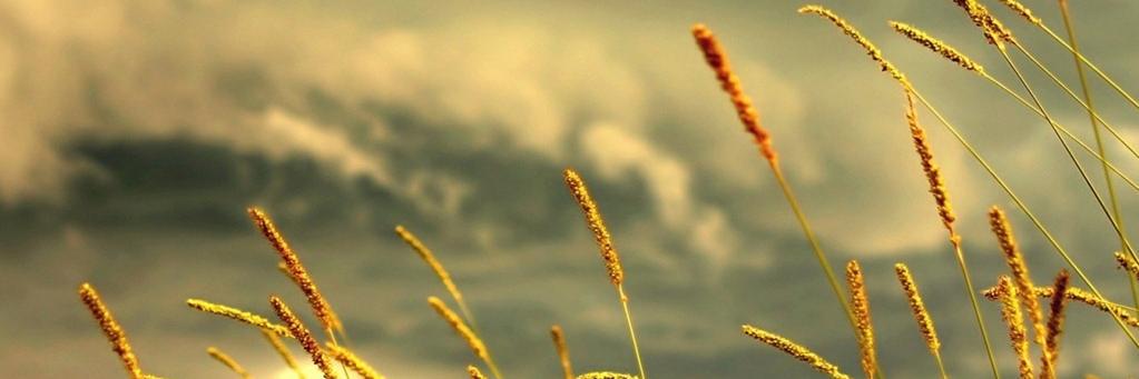 Amanjaura88's profile banner image