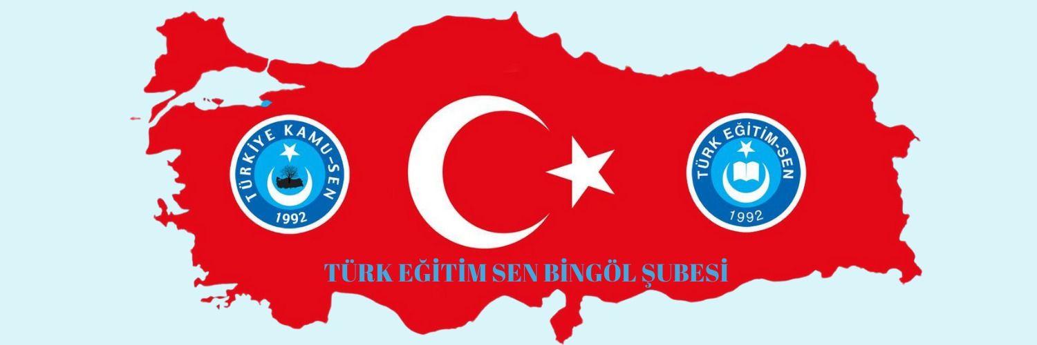 Bingöl Türk Eğitim Sen banner