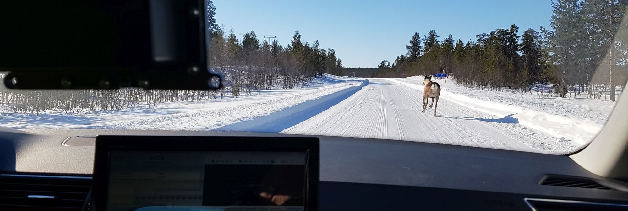 FGI autonomous banner