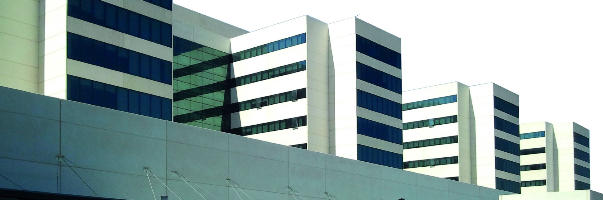 XXII Curso de At. Farmacéutica Pte. Trasplantado banner