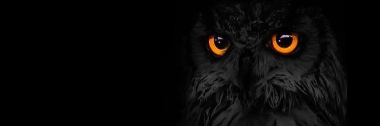 bugzyjack's profile banner image