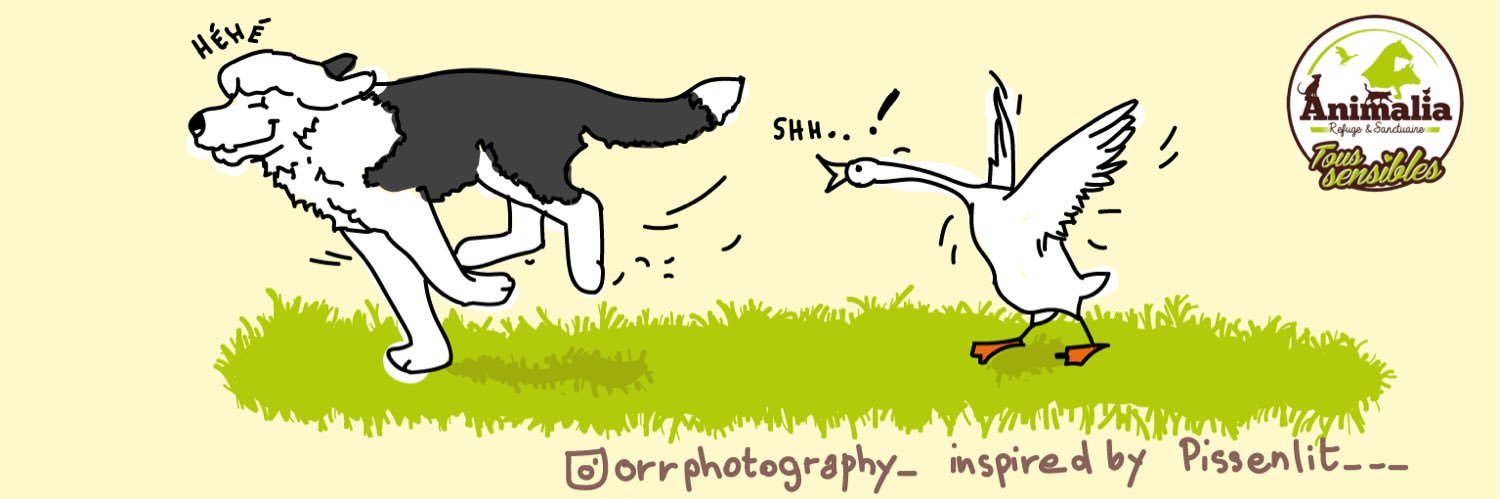 SPA_Animalia's profile banner image