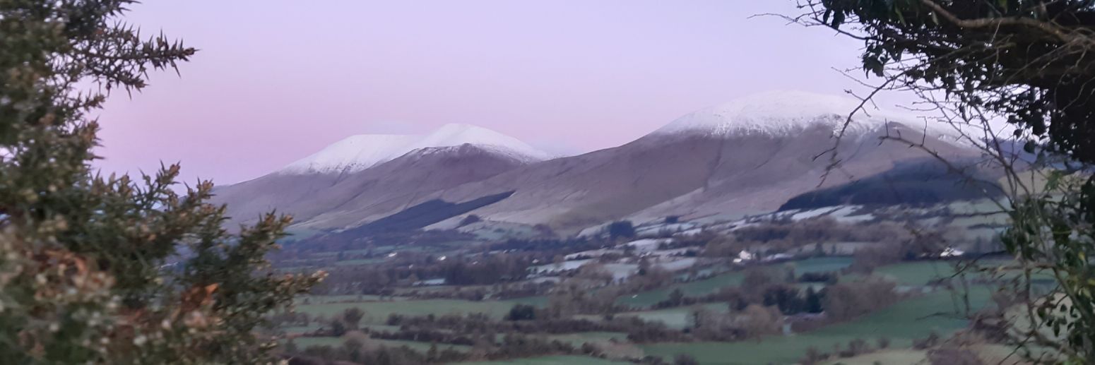 Anna maria Burke banner