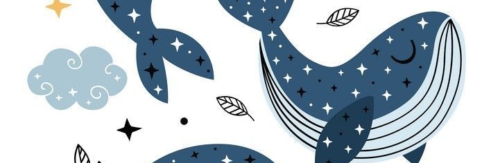 nessabarrientos's profile banner image