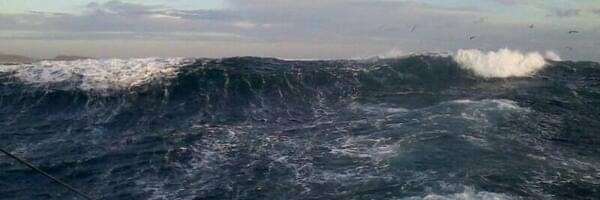 2_MaMV's profile banner image