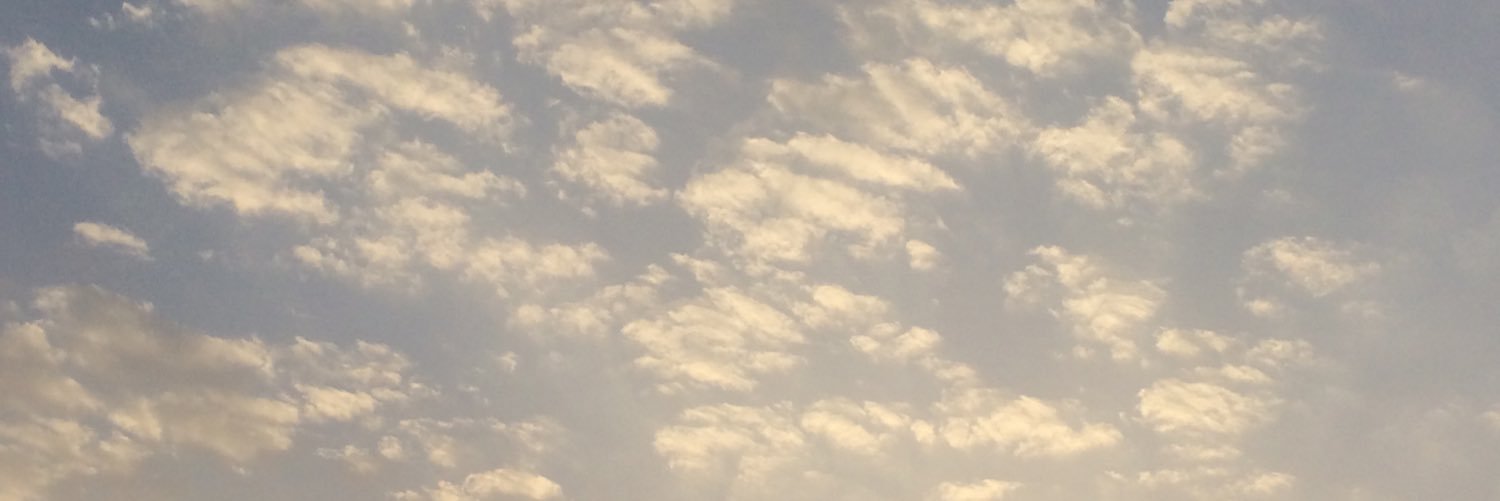 Aala_soliman's profile banner image