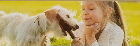 PPWPET's profile banner image