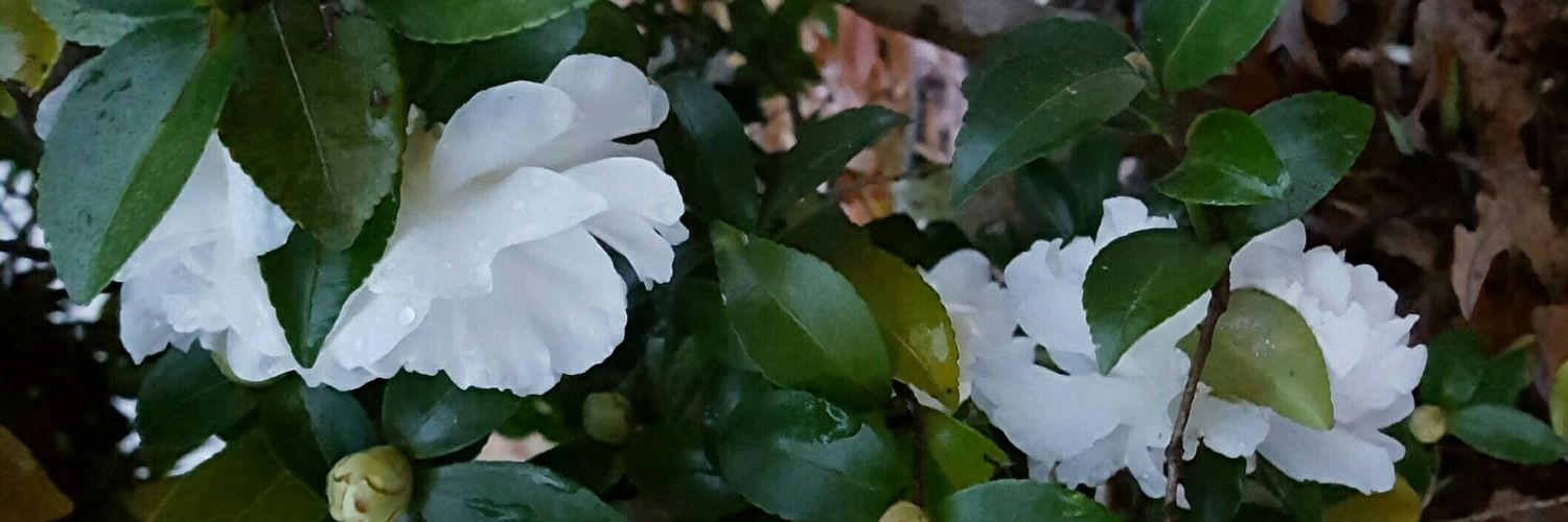 IRunUgly's profile banner image