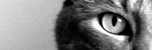 damediumsizeman's profile banner image