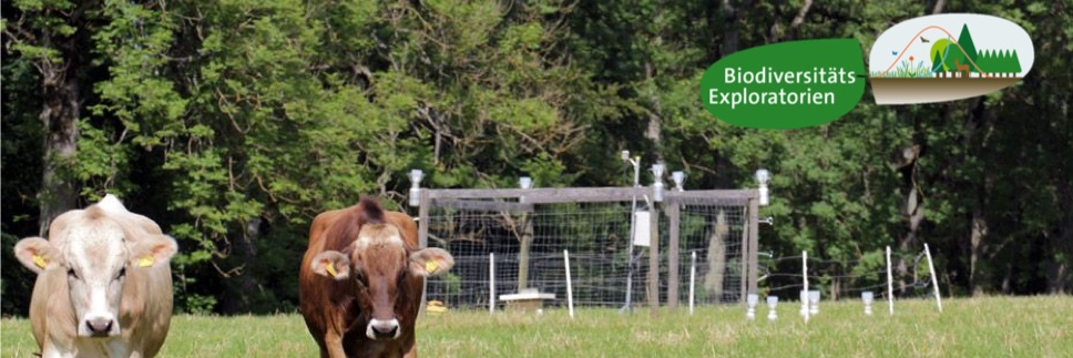 Biodiversitäts-Exploratorien banner