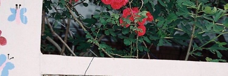 biblee_bot's profile banner image