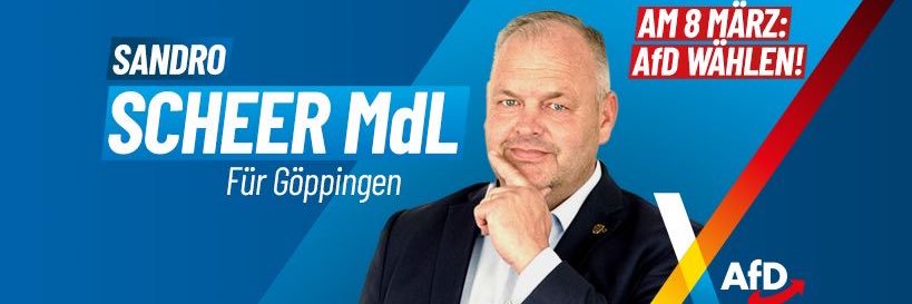 Sandro Scheer MdL banner