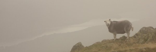 _davidhansard Profile Banner