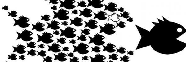 derekseidman80 Profile Banner