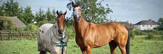 Michael Blake Racing banner