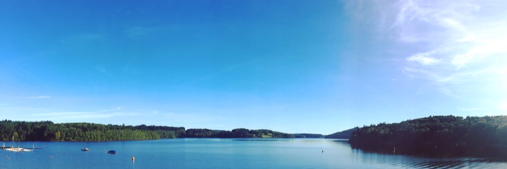 Menut Audrey 🌺 banner