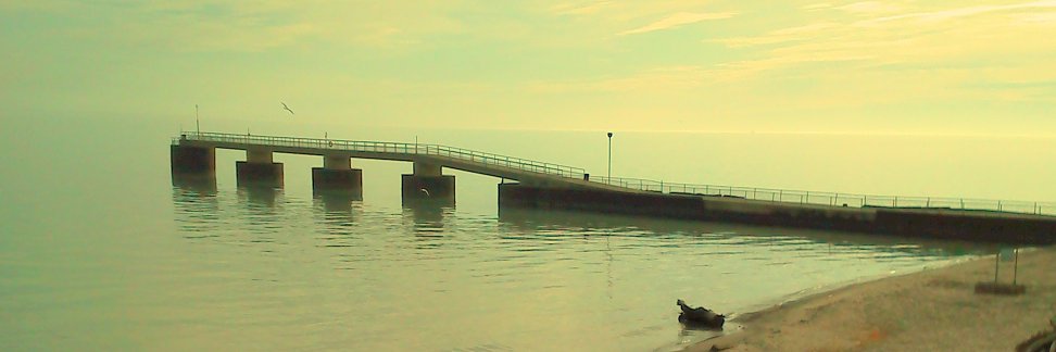 invisible_trees's profile banner image