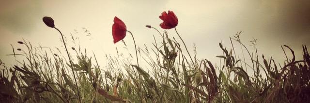 SHS_History's profile banner image