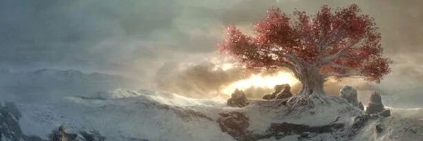 akiquanta's profile banner image