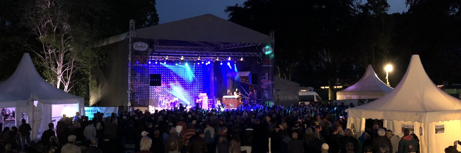 bluesfestival's profile banner image