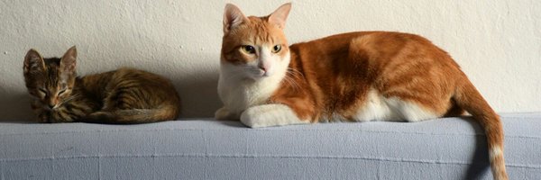 jimarcorr Profile Banner