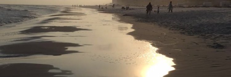 Summer_D_Bright's profile banner image
