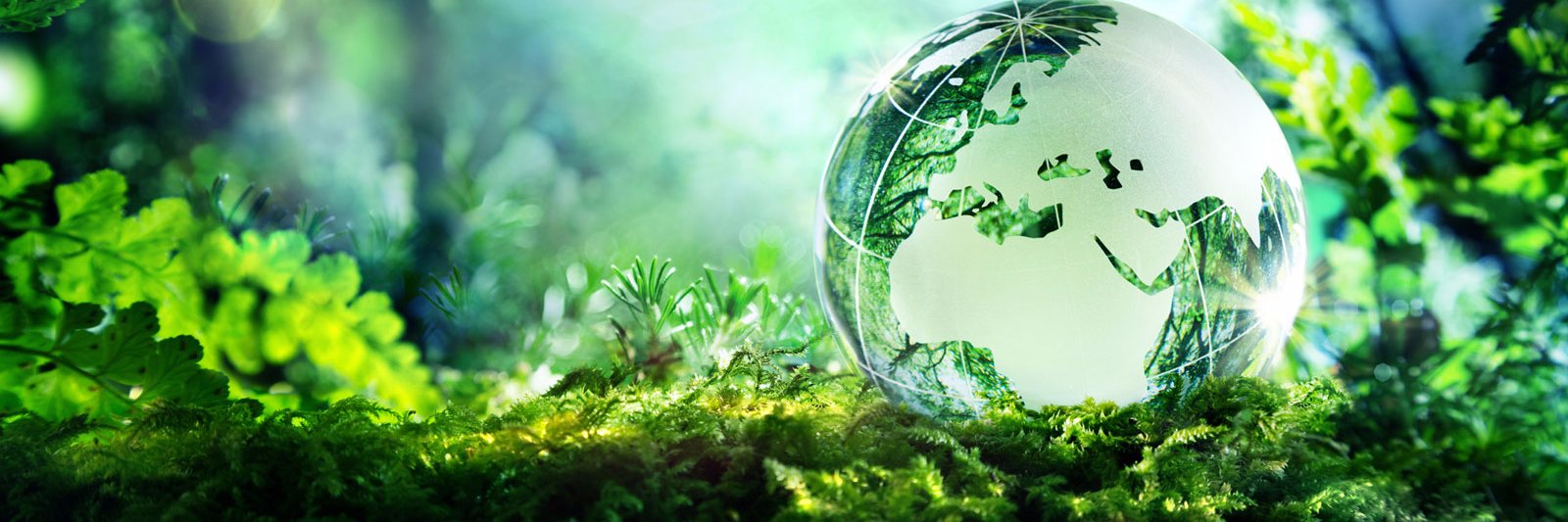 EarthlinksWCI's profile banner image
