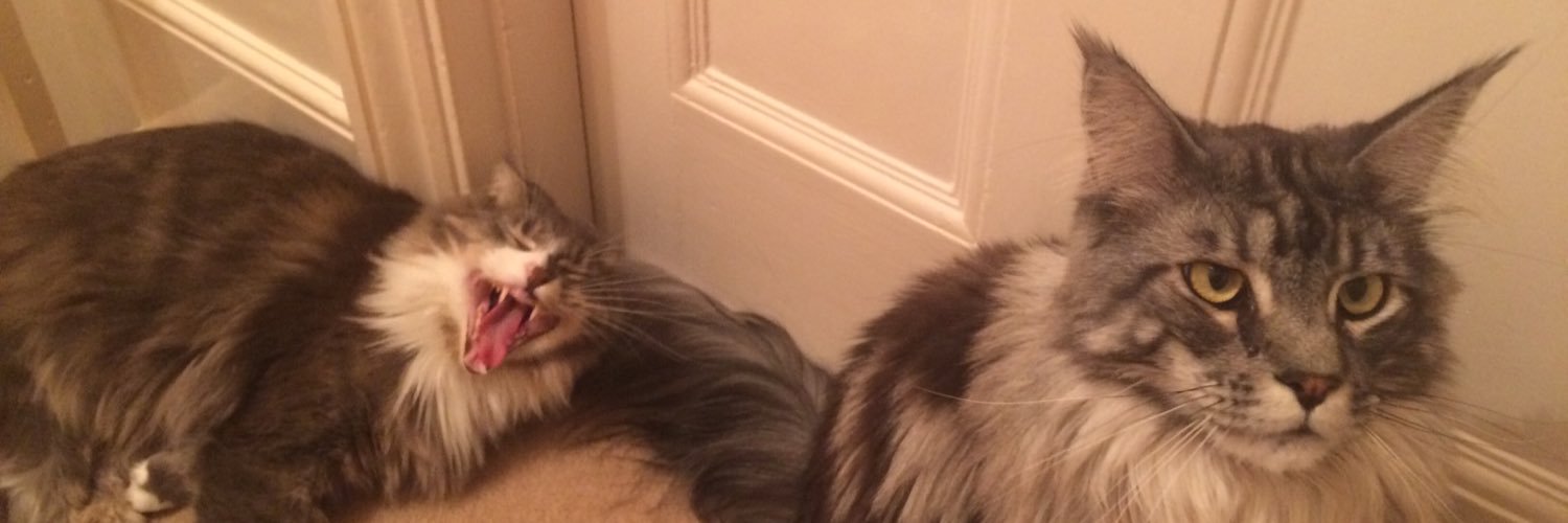 MontyandB's profile banner image