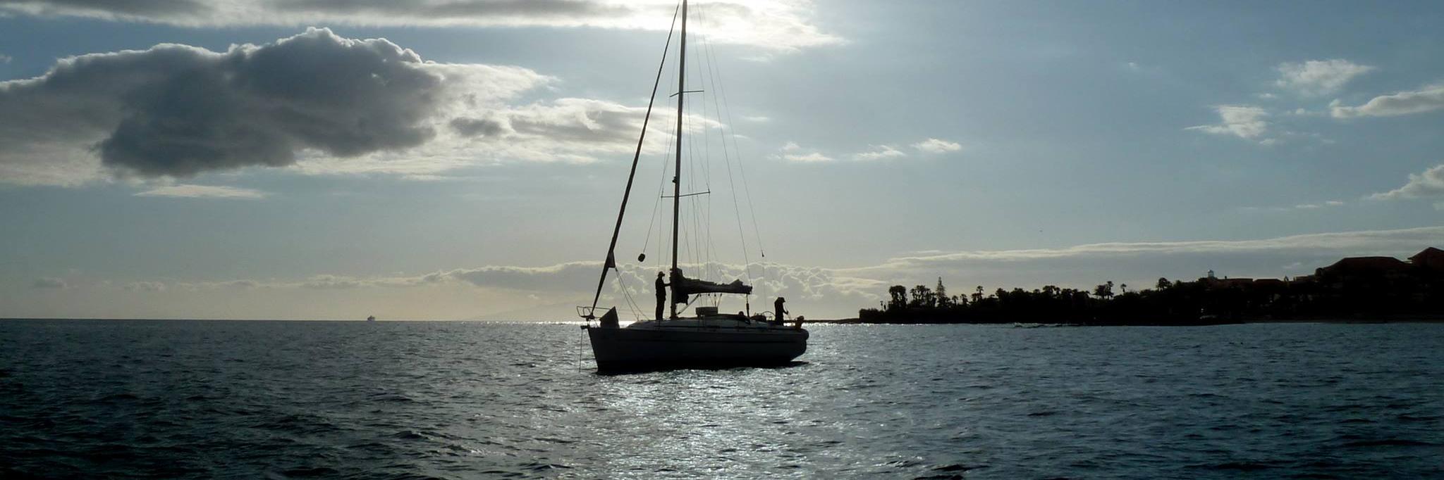Canary_Sail's profile banner image