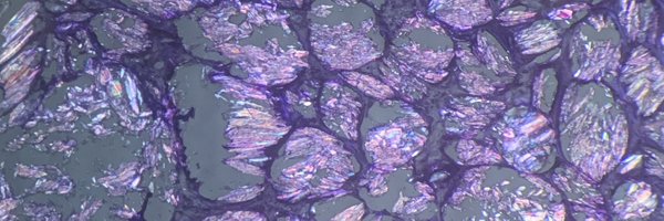 PM_path Profile Banner