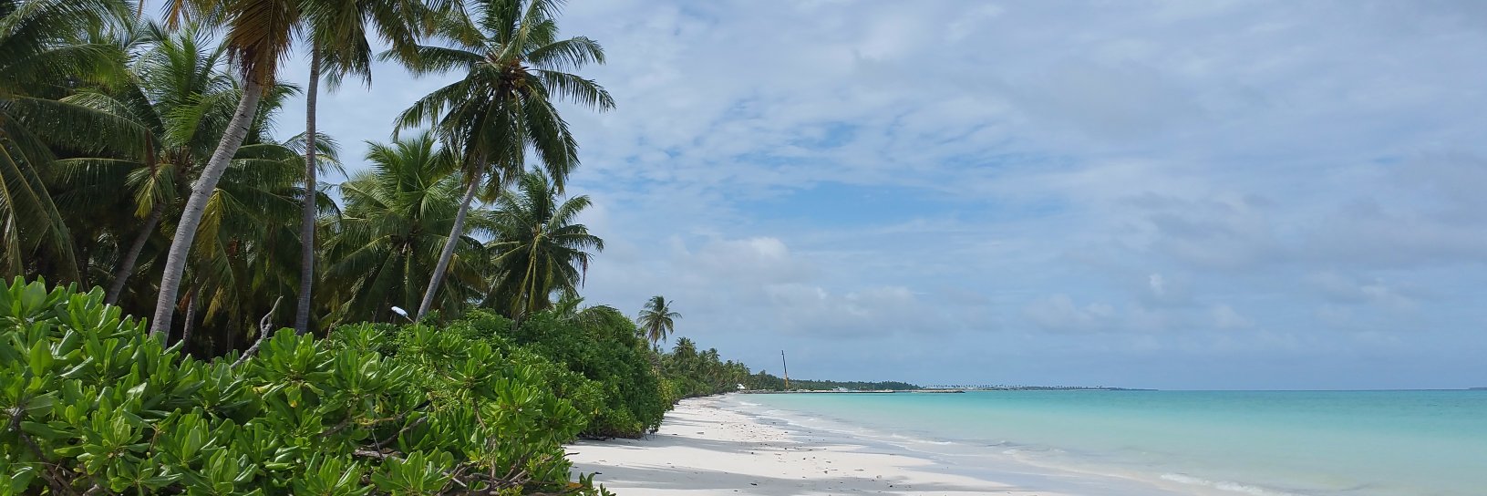 Ismail_Nasheed's profile banner image