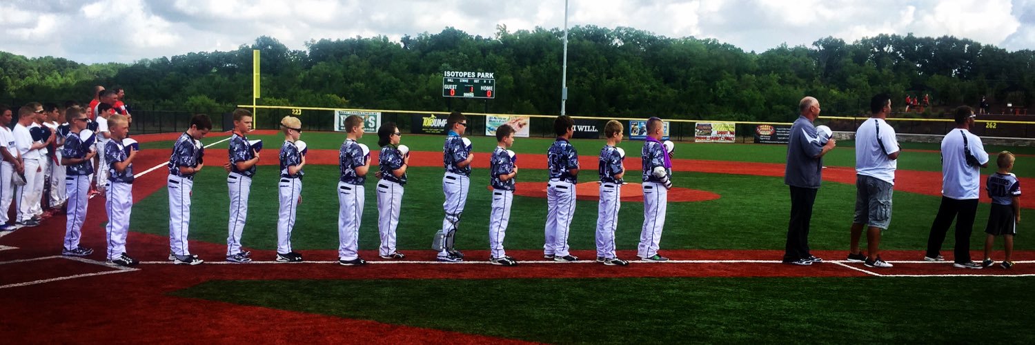 Rochester Rays banner