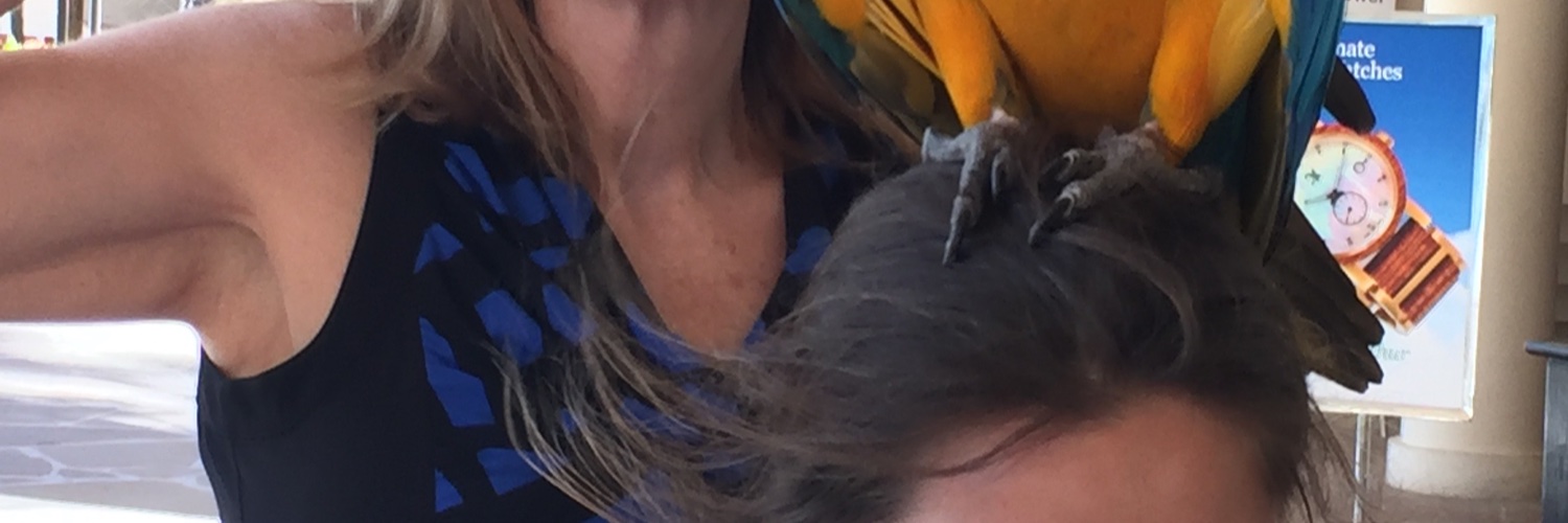 Kare Anderson banner