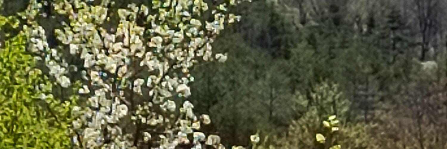 hakibaki2's profile banner image