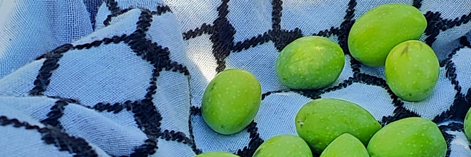 Mohamad Ghamlouch (The Original) banner