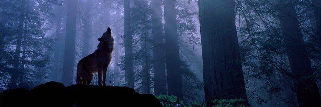 Bayleis's profile banner image