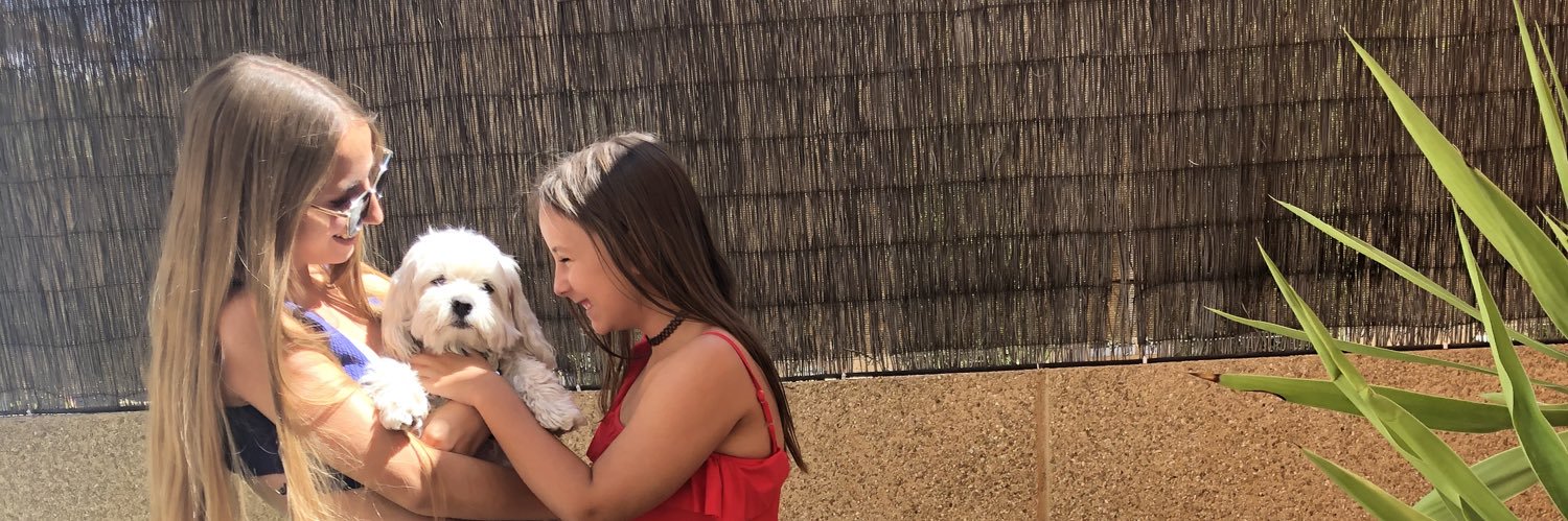 Nerea99L's profile banner image