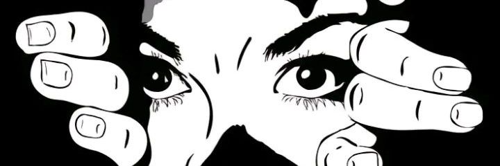 Noval banner
