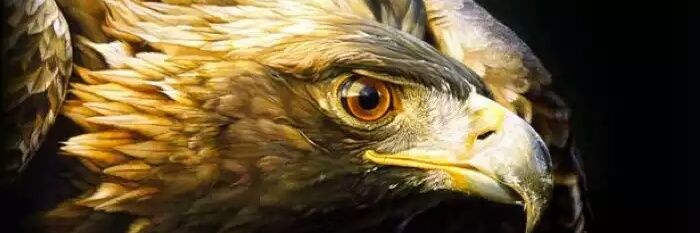 Maria_Soldati's profile banner image